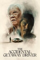The Accidental Getaway Driver (2025)
