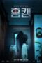 Homecam (2025)