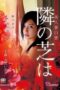 Meeting in Secret (2014)